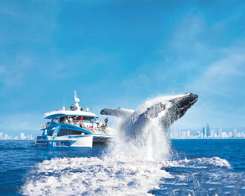 Gold Coast: Whale Watching Cruise & Sea World Entry - Who Should Consider This Tour?