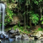 Gold Coast: Wine, Distillery & Rainforest Day Tour - Who Will Love This Tour?