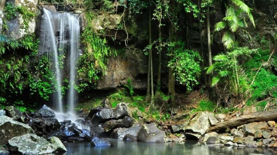 Gold Coast: Wine, Distillery & Rainforest Day Tour - Who Will Love This Tour?