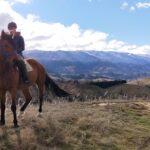 Golden Hills Horse Trek in Central Otago - Exploring the Central Otago Countryside on Horseback