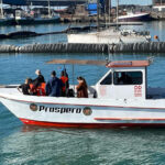 Gqeberha: HARBOUR CRUISE - Why This Tour Offers Good Value