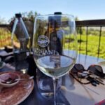Grape Escapes: Wine Event of a Special Kind in Durbanville - Practical Details and Tips