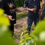 Grape to Glass Master Class - What’s Included and How It Adds Value