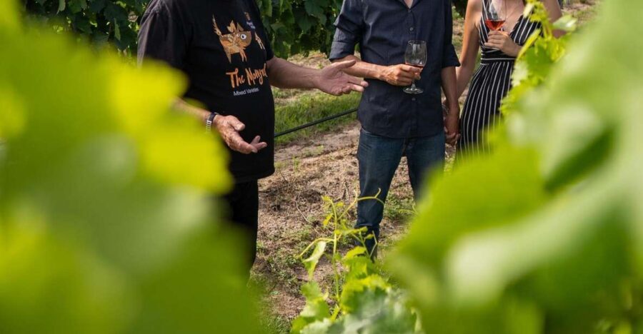 Grape to Glass Master Class - What’s Included and How It Adds Value