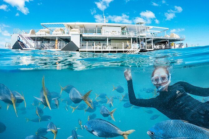 Great Barrier Reef Full Day Adventure - FAQ: Your Quick Guide to the Great Barrier Reef Tour