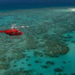 Great Barrier Reef or Rainforest Scenic Flights from Port Douglas - Why This Tour Stands Out