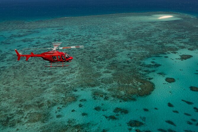 Great Barrier Reef or Rainforest Scenic Flights from Port Douglas - Why This Tour Stands Out