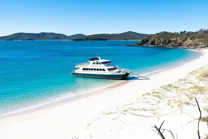 Great Keppel Island Adventure Tour - Snorkel and Boomnet - Who Will Love This Tour?