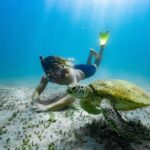 Great Keppel Island Glass Bottom Boat Tour & Ferry Transfer - Itinerary Breakdown: What to Expect