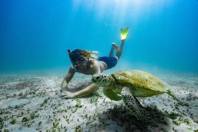 Great Keppel Island Glass Bottom Boat Tour & Ferry Transfer - Itinerary Breakdown: What to Expect