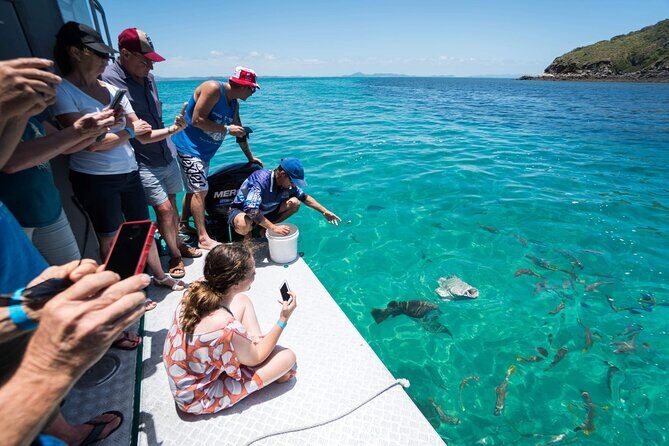 Great Keppel Island Snorkel and Glass Bottom Boat Experience - Authentic Experiences from Travelers