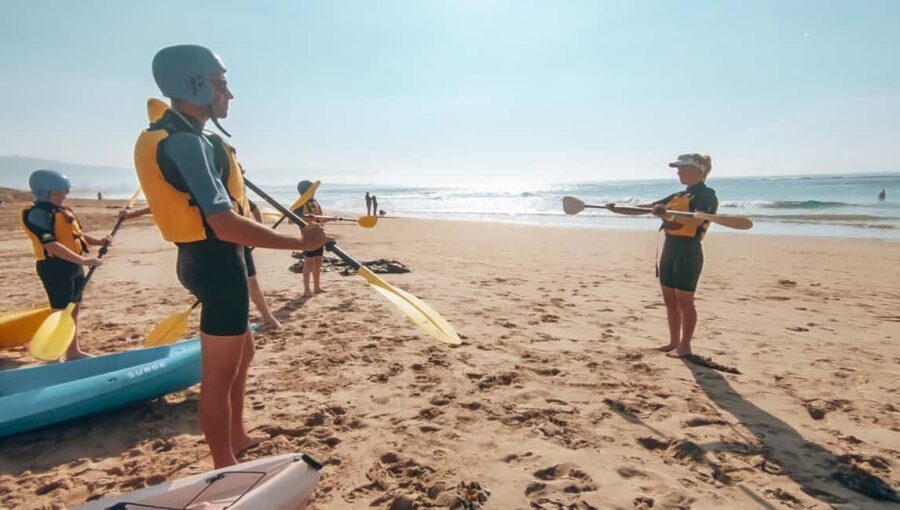 Great Ocean Road: Kayaking with Seals Tour - Price and Value for Money