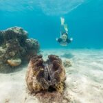 Green Island Day Trip from Cairns - How the Itinerary Comes Together