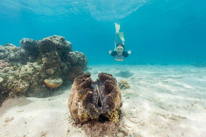 Green Island Day Trip from Cairns - How the Itinerary Comes Together