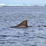 Green turtles, sharks, caves, desert, and sandboarding... - What We Love About This Tour