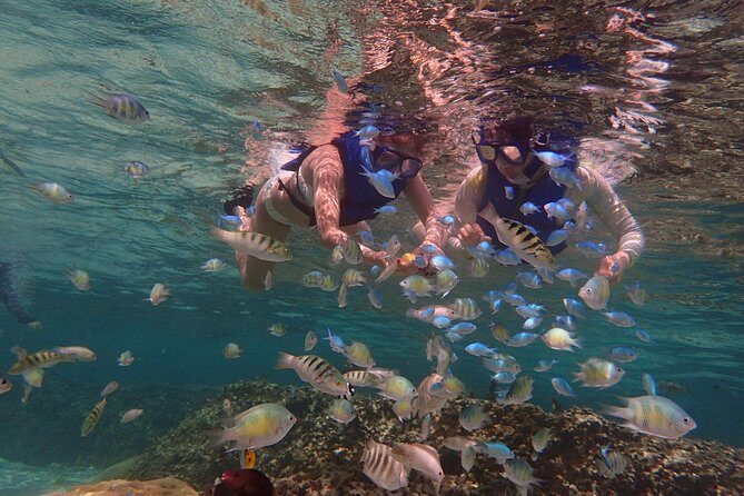 Guam's 5 Star Guided Snorkeling Tour! - Who Is This Tour Best For?