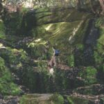 Guided Forest Hike Tour on Table Mountain, Cape Town - An In-Depth Look at the Skeleton Gorge Forest Hike