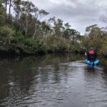 Guided Kayak Adventure Tour - Who Is This Tour Best For?
