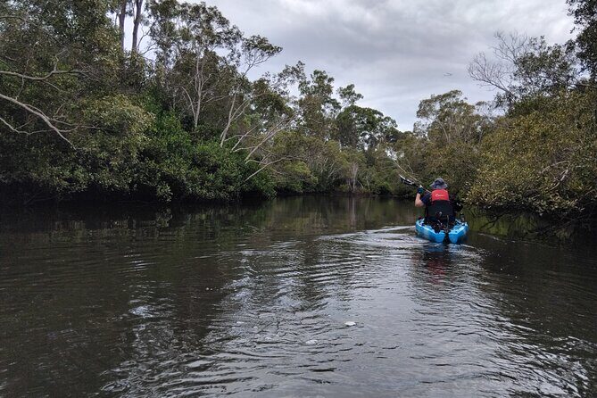 Guided Kayak Adventure Tour - Who Is This Tour Best For?