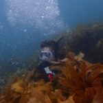 Guided Shore Dive Tour for Certified Diver - Practical Details & Value
