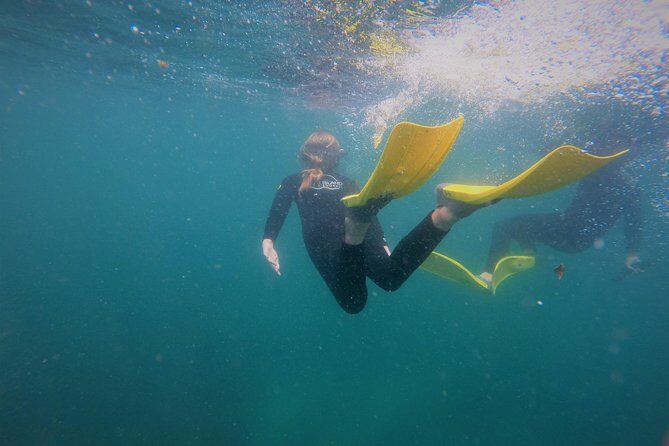 Guided Snorkel Experience, Advanced - Practical Details