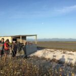 Guided Tour at Pukorokoro Shorebird Centre - A Closer Look at the Tour Experience