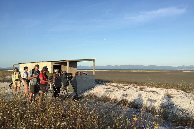 Guided Tour at Pukorokoro Shorebird Centre - A Closer Look at the Tour Experience