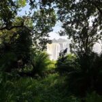 Guided tour of Victoria Falls and safari in Chobe Park - Who Would Love This Tour?