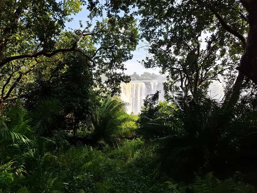 Guided tour of Victoria Falls and safari in Chobe Park - Who Would Love This Tour?