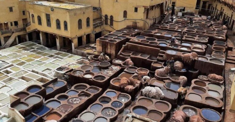 Guided walking tour in Old medina fez - What to Expect from the Tour