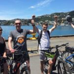 Guided Wellington Tour by Electric Bike - A Deep Dive into the Wellington E-Bike Tour