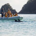 Hahei Explorer Cathedral Cove Boat Tour - Additional Practical Information