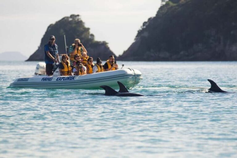 Hahei Explorer Cathedral Cove Boat Tour - Additional Practical Information