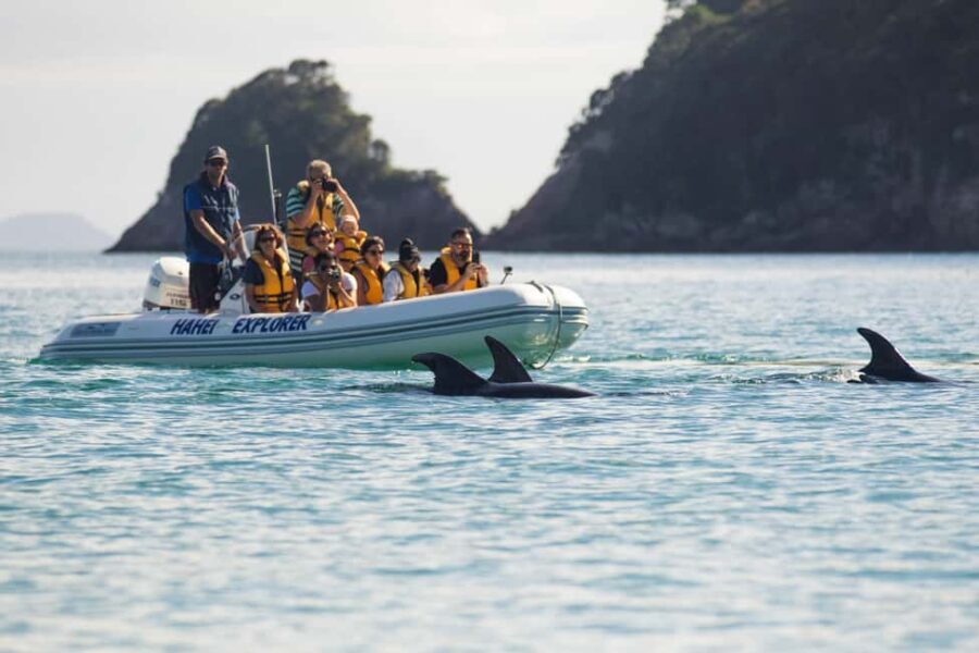 Hahei Explorer Cathedral Cove Boat Tour - Additional Practical Information