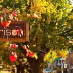 Hahndorf Hidden Gems: Full-Day Experience Join Us Tour - Summary: Who Should Consider This Tour?