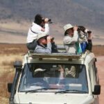 Half Day Bird Watching Tour Nairobi National Park - Value and Practicalities