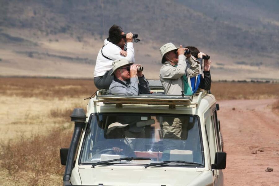 Half Day Bird Watching Tour Nairobi National Park - Value and Practicalities