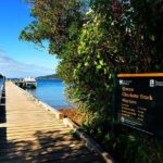 Half-Day Cruise in Marlborough Sounds from Picton - Practical Tips for Your Trip