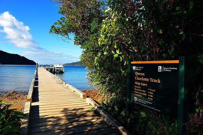 Half-Day Cruise in Marlborough Sounds from Picton - Practical Tips for Your Trip