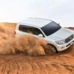 Half-Day Desert Safari from Doha Cruise Terminal Adventure - What to Expect from the Tour