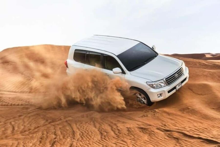 Half-Day Desert Safari from Doha Cruise Terminal Adventure - What to Expect from the Tour
