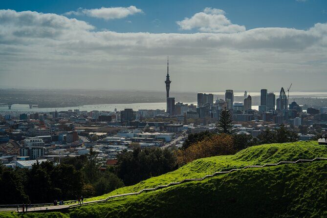 Half-day Discover Auckland City Sightseeing Tour - Why This Tour Works Well