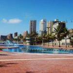 Half Day Durban City Tour and Phezulu Safari Park - Detailed Breakdown of the Itinerary