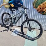 Half Day Full Suspension Acoustic Mountain Bike Rental - The Experience: What to Expect