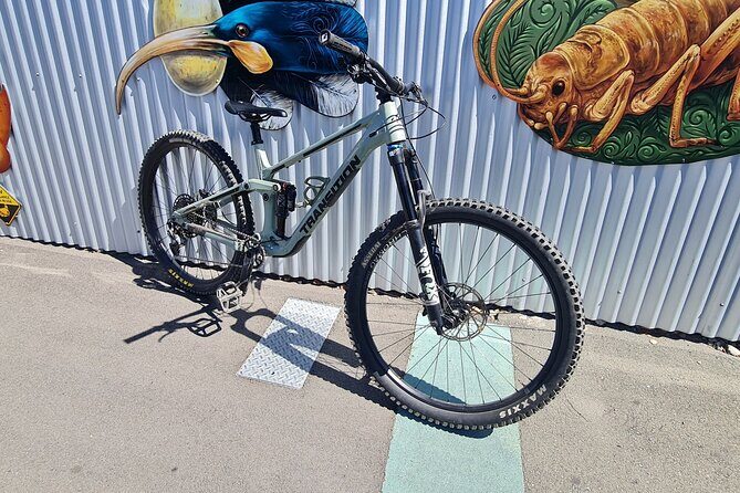 Half Day Full Suspension Acoustic Mountain Bike Rental - The Experience: What to Expect