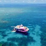 Half Day Great Barrier Reef Snorkeling Tour - Practical Details & Tips
