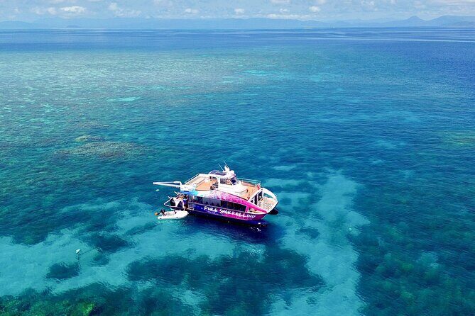 Half Day Great Barrier Reef Snorkeling Tour - Practical Details & Tips