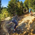 Half Day Guided Mountain Biking Adventure in Nelson - What the Tour Looks Like