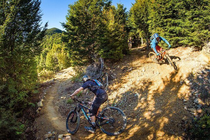 Half Day Guided Mountain Biking Adventure in Nelson - What the Tour Looks Like