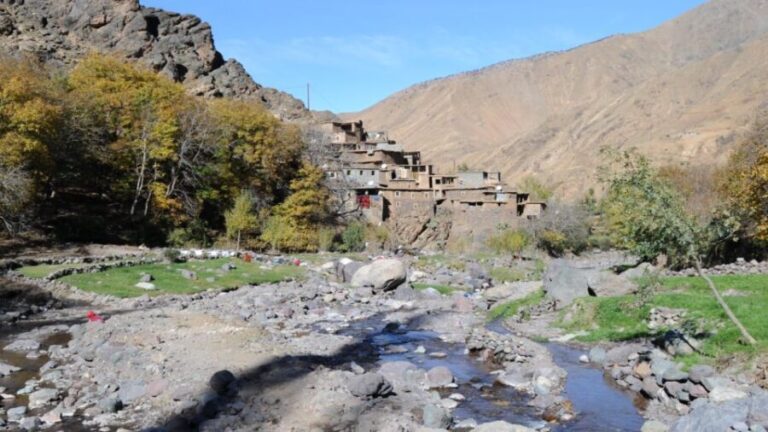 Half Day Guided Trek departure from Imlil - Analyzing the Value: Is It Worth It?